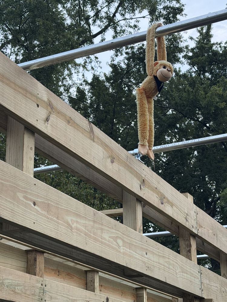 Toy monkey hanging from a steel bar on top of a new wooden rig